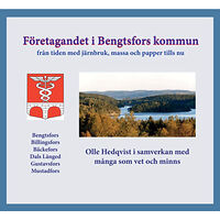 Olle Hedqvist Företagandet i Bengtsfors kommun : från tiden med järnbruk, massa och papper fram tills nu (bok, kartonnage)