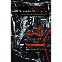 Mattias Fyhr De mörka labyrinterna (häftad)
