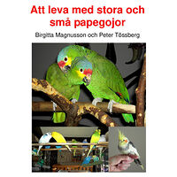 Peter Tössberg Att leva med stora och små papegojor (inbunden)