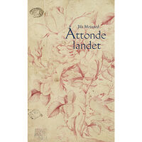 Jila Mossaed Åttonde landet (bok, danskt band)