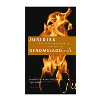 Jonas Gabrielsen Juridisk genomslagskraft : att övertyga muntligt som jurist. (bok, danskt band)