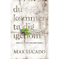 Max Lucado Du kommer ta dig igenom : hopp och tröst när livet händer (häftad)
