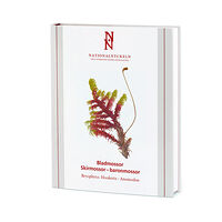 Lars Hedenäs Bladmossor : skirmossor - baronmossor. Bryophyta : hookeria - anomodon (inbunden)