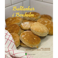 Gen Larsson Baktankar i Boxholm (inbunden)