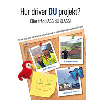 Helena Ölmefur Hur driver du projekt? (bok, danskt band)