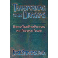 Bear & Company Transforming Your Dragons : How to turn fear patterns into personal power (häftad, eng)