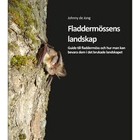 Johnny de Jong Fladdermössens landskap (inbunden)