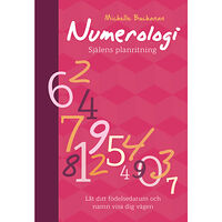 Michelle Buchanan Numerologi : själens planritning (bok, danskt band)