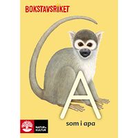 Lena Hultgren Bokstavsriket Alfabetsböcker (häftad)