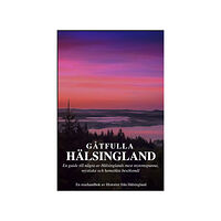 Robert Fors Gåtfulla Hälsingland - En resehandbok (häftad)