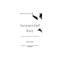 David Sheff Beautiful Boy (pocket, eng)
