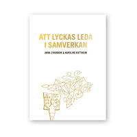 Karoline Bottheim Att lyckas leda i samverkan (häftad)
