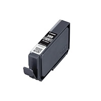 CANON Ink 4200C001 PFI-300 Grey