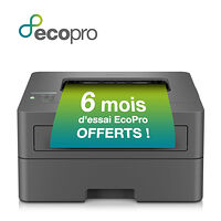 Brother Brother HL-L2400DWE - skrivare - svartvit - laser