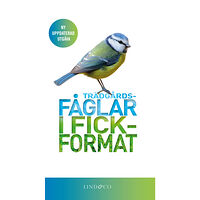 Mark Ward Trädgårdsfåglar i fickformat (inbunden)