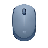 Logitech Logitech M171 datormöss Ambidextrous RF Trådlös Optisk