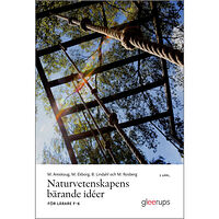 Mats Areskoug Naturvetenskapens bärande idéer, 3 uppl : För lärare F-6 (häftad)