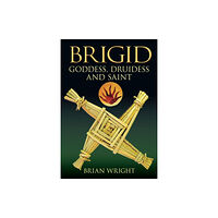 The History Press Brigid (häftad, eng)