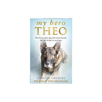HarperCollins Publishers My Hero Theo (häftad, eng)