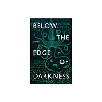 Little, Brown Book Group Below the Edge of Darkness (häftad, eng)