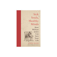 Princeton University Press Sick Souls, Healthy Minds (häftad, eng)