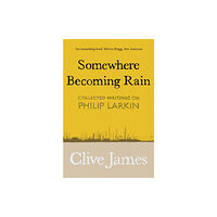 Pan Macmillan Somewhere Becoming Rain (häftad, eng)