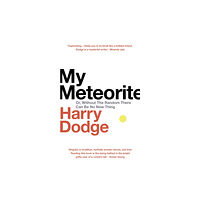 Vintage Publishing My Meteorite (inbunden, eng)