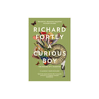 HarperCollins Publishers A Curious Boy (häftad, eng)