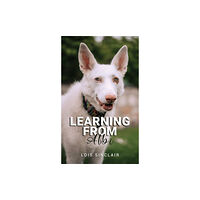 Austin Macauley Publishers Learning from Albi (häftad, eng)