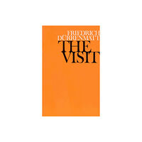 Vintage Publishing The Visit (häftad, eng)