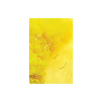 Duke university press Breathing Aesthetics (häftad, eng)