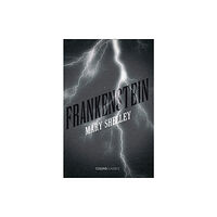 HarperCollins Publishers Frankenstein (häftad, eng)