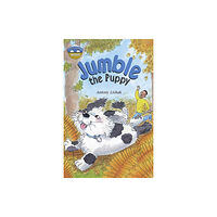 Pearson Education Limited Storyworlds Bridges Stage 12 Jumble the Puppy (single) (häftad, eng)
