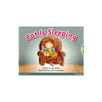 Pearson Education Limited Bug Club Guided Fiction Reception Pink A Cat is Sleeping (häftad, eng)