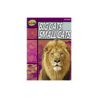 Pearson Education Limited Rapid Reading: Big Cats Small Cats (Stage 1, Level 1A) (häftad, eng)