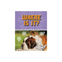 Capstone Global Library Ltd Where Is It? (häftad, eng)