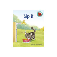 Capstone Global Library Ltd Sip it (häftad, eng)