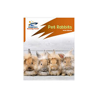Hachette Learning Reading Planet: Rocket Phonics – Target Practice – Pet Rabbits – Orange (häftad, eng)