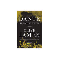 Pan Macmillan The Divine Comedy (häftad, eng)