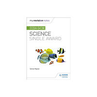 Hachette Learning My Revision Notes: CCEA GCSE Science Single Award (häftad, eng)