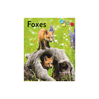 Ransom Publishing Foxes (häftad, eng)