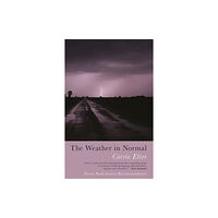 Poetry Wales Press The Weather in Normal (häftad, eng)