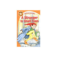 Award Publications Ltd A Stranger in Small Town (inbunden, eng)