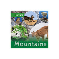 BookLife Publishing Mountains (inbunden, eng)