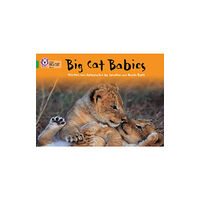 HarperCollins Publishers Big Cat Babies (häftad, eng)