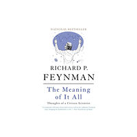 Basic Books The Meaning of It All (häftad, eng)
