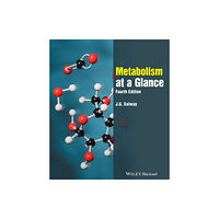 John Wiley And Sons Ltd Metabolism at a Glance (häftad, eng)