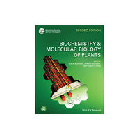 John Wiley & Sons Inc Biochemistry and Molecular Biology of Plants 2e (häftad, eng)