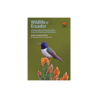 Princeton University Press Wildlife of Ecuador (häftad, eng)