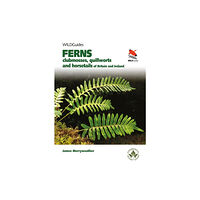 Princeton University Press Ferns (häftad, eng)
